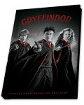 Σετ δώρου ABYstyle Movies: Harry Potter - Harry, Ron and Hermione - 6t