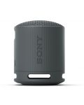 Φορητό ηχείο Sony - SRS-XB100, μαύρο - 10t