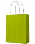 Τσάντα δώρου  S. Cool - kraft, πράσινο, L - 1t