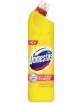 Καθαριστικό  Domestos - Citrus, 750 ml - 1t