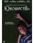 Boyhood (DVD) - 1t