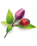 Σπόροι Click and Grow - μωβ πιπεριά τσίλι, 3 ανταλλακτικά - 2t