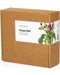 Σπόροι Click and Grow - μωβ πιπεριά τσίλι, 3 ανταλλακτικά - 3t