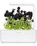 Smart γλάστρα Click and Grow - Smart Garden 3, 8W, λευκό - 2t