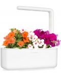 Smart γλάστρα Click and Grow - Smart Garden 3, 8W, λευκό - 4t