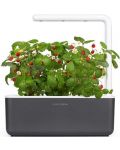 Smart γλάστρα Click and Grow - Smart Garden 3, 8 W, γκρι - 2t