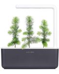 Smart γλάστρα Click and Grow - Smart Garden 3, 8 W, γκρι - 5t