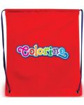 Αθλητική τσάντα Colorino - ποικιλία - 2t