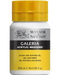 Δομικό τζελ Winsor & Newton - Galeria Black Lava, 250 ml - 1t