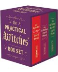 The Practical Witches' Box Set - 1t