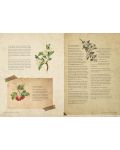 The Time Traveller's Herbal: Stories and Recipes rom the Historical Apothecary Cabinet - 2t