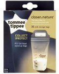 Σετ σακουλάκια μητρικού γάλακτος Tommee Tippee - Closer to Nature, 350 ml, 36 τεμάχια - 1t