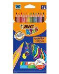 Χρωματιστά μολύβια BIC Evolution Stripes - 12 χρώματα - 1t
