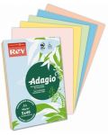 Έγχρωμο χαρτί αντιγραφής  Rey Adagio - Pastel mix, A4, 80 g,100 φύλλα - 1t