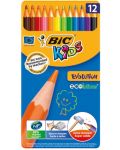 Χρωματιστά μολύβια BIC Kids Ecolutions 12 χρώματα - 1t