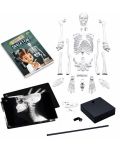 Δημιουργικό σετ Buki France -DIY ανθρώπινος σκελετός, 45 εκ - 2t