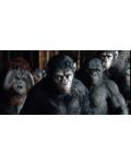 Dawn of the Planet of the Apes (3D Blu-ray) - 8t
