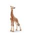 Φιγούρα Schleich Wild Life Africa - Καμηλοπάρδαλη, μωρό - 1t