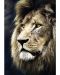 Παζλ Trefl 1500 κομμάτια - Το πορτρέτο ενός λιονταριού - 2t