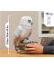 Παζλ 4D Spin Master 118 κομμάτια - Hedwig - 5t