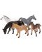 Σετ φιγούρων Toi Toys Animal World - Deluxe, Άγρια ζώα, 5 τεμάχια - 1t