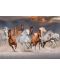 Παζλ Jumbo 1000 κομμάτια - Άλογα στην έρημο - 2t