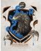Εκτύπωση τέχνης FaNaTtiK Movies: Harry Potter - Ravenclaw - 1t