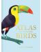 Atlas of Amazing Birds - 1t