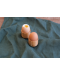 Βάση αυγών από μπαμπού  Pebbly - 2 τεμάχια  - 2t