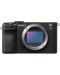 Mirrorless Φωτογραφική Μηχανή   Sony - A7C II, 33MPx, Black - 1t