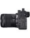Φωτογραφική μηχανή Mirrorless Canon - EOS R6, RF 24-105mm, f/4-7.1 IS STM, Μαύρη  - 5t