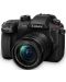 Φωτογραφική μηχανή Mirrorless Panasonic - Lumix G GH5 II, 12-60mm, Black - 1t