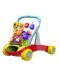 Στράτα  2 σε 1 Chicco - Baby Gardner - 1t