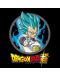  ABYstyle Animation: Dragon Ball Super - Vegeta - 2t