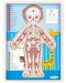Ξύλινο παζλ Woody - Το ανθρώπινο σώμα - Αγόρι, 13 τεμάχια - 2t