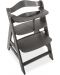 Ξύλινη καρέκλα φαγητού Hauck - Alpha Plus Select, charcoal - 4t
