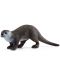 Φιγούρα  Schleich Wild Life -Μικρή βίδρα - 1t