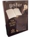 Ημερολόγιο The Noble Collection Movies: Harry Potter - Tom Riddle - 5t