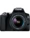 Φωτογραφική μηχανή DSLR Canon - EOS 250D, EF-S 18-55mm, μαύρο  - 1t