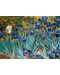 Παζλ Eurographics 1000 κομμάτια –Irissy, Vincent van Gogh - 2t