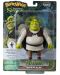 Φιγούρα δράσηςThe Noble Collection Animation: Shrek - Shrek, 15 εκ - 3t