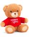 Οικολογικό λούτρινο παιχνίδι Keel Toys Keeleco - Αρκούδα με κόκκινο μπλουζάκι Thank you, 15 εκ - 1t