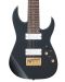 Ηλεκτρική κιθάρα Ibanez - RG80F, Iron Pewter - 2t
