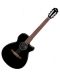 Ηλεκτροακουστική κιθάρα Ibanez - AEG50N, Black High Gloss - 1t