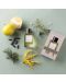 Essential Parfums Eau de Parfum  Nice Bergamote by Antoine Maisondieu, 100 ml - 4t