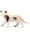 Φιγούρα Schleich Farm World - Αμερικανική κοντότριχη γάτα - 2t