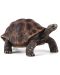 Φιγούρα Mojo Woodland - Γιγαντιαία χελώνα - 1t