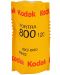 Φιλμ  Kodak - Portra 800, Negativ 120, 1 τεμάχιο - 1t