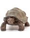 Φιγούρα Schleich Wild Life - Γιγαντιαία χελώνα - 2t