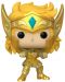 Φιγούρα Funko POP! Animation: Saint Seiya - Aquarius Hyoga #1425 - 1t